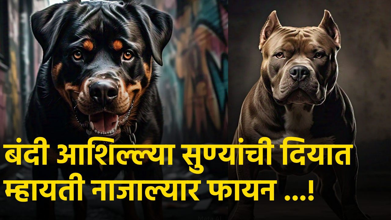 Animal Husbandry Min Halarnkar Urges Public to Report Banned Dogs||GOA365