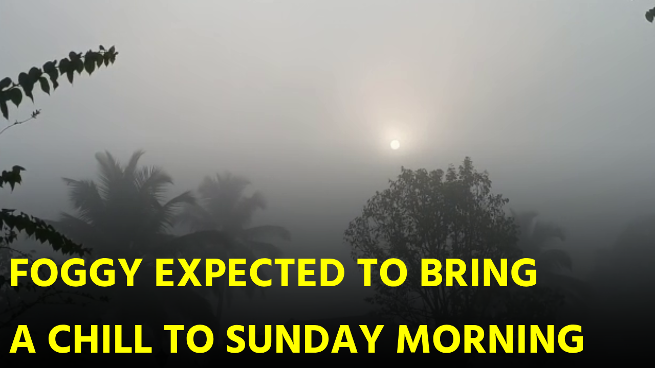 IMD Say Sunshine And Fog Through The Weekend! Here’s The Full Breakdown || GOA365 TV